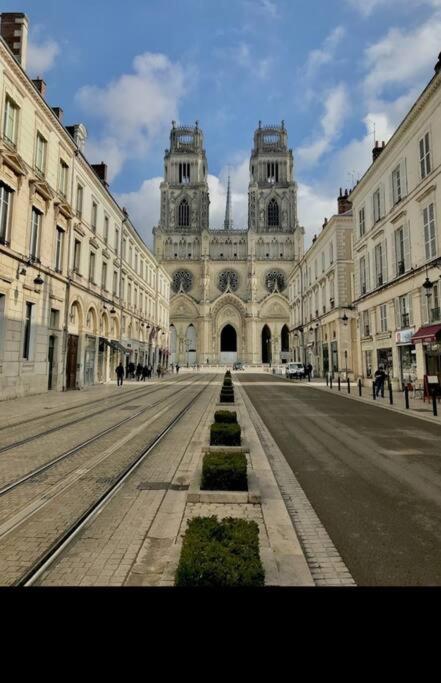 Joli F2 Gare Orleans Avec Parking Prive Et Balcon Daire Dış mekan fotoğraf